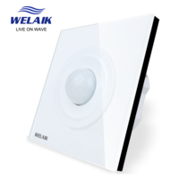 British standard human  body sensing wall switch