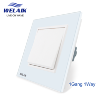 1gang1way push button wall switch
