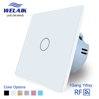 1gang1way EU standard remote control touch switch