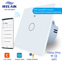 WIFI EU 1Gang2Way Touch switch