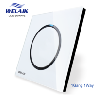 1gang1way button switch